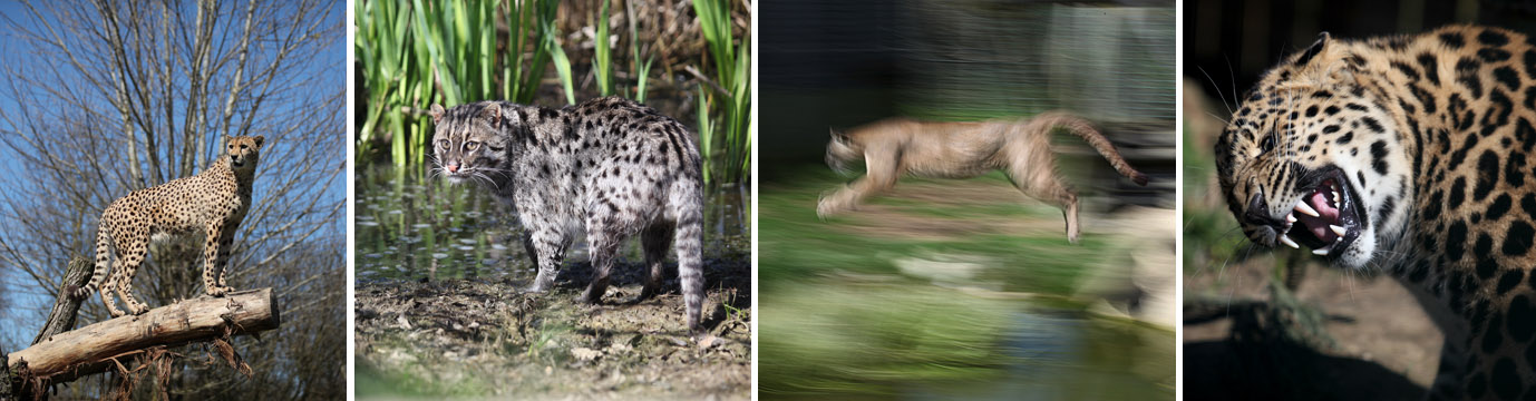 april photo workshop