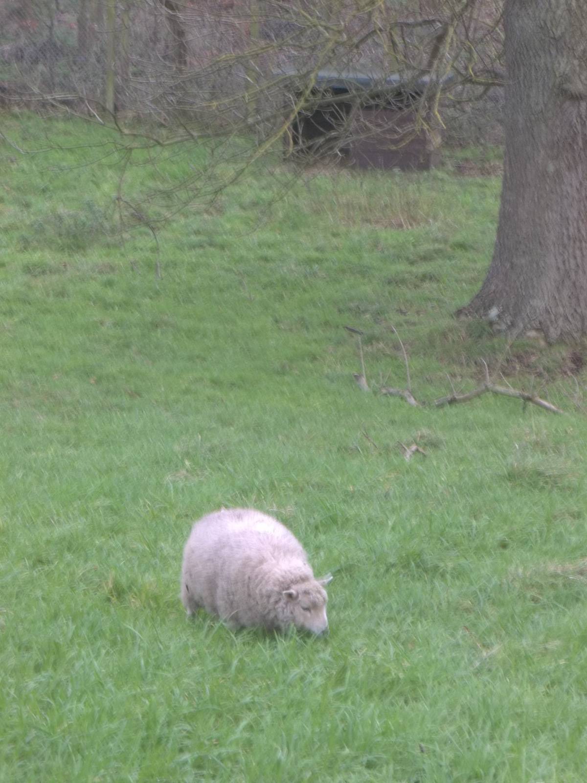 Aprilback where she was born, 30th November 2014