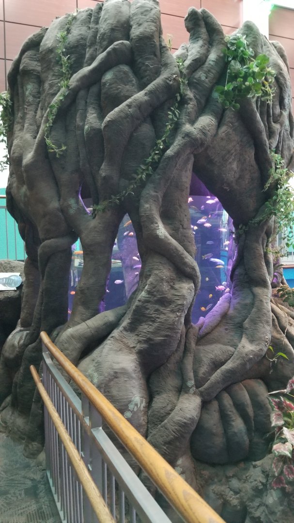 Aq of the Smokies - Cichlid tree tank