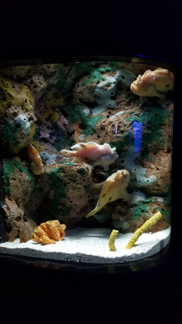 Aq of the Smokies - Commerson's Frogfish