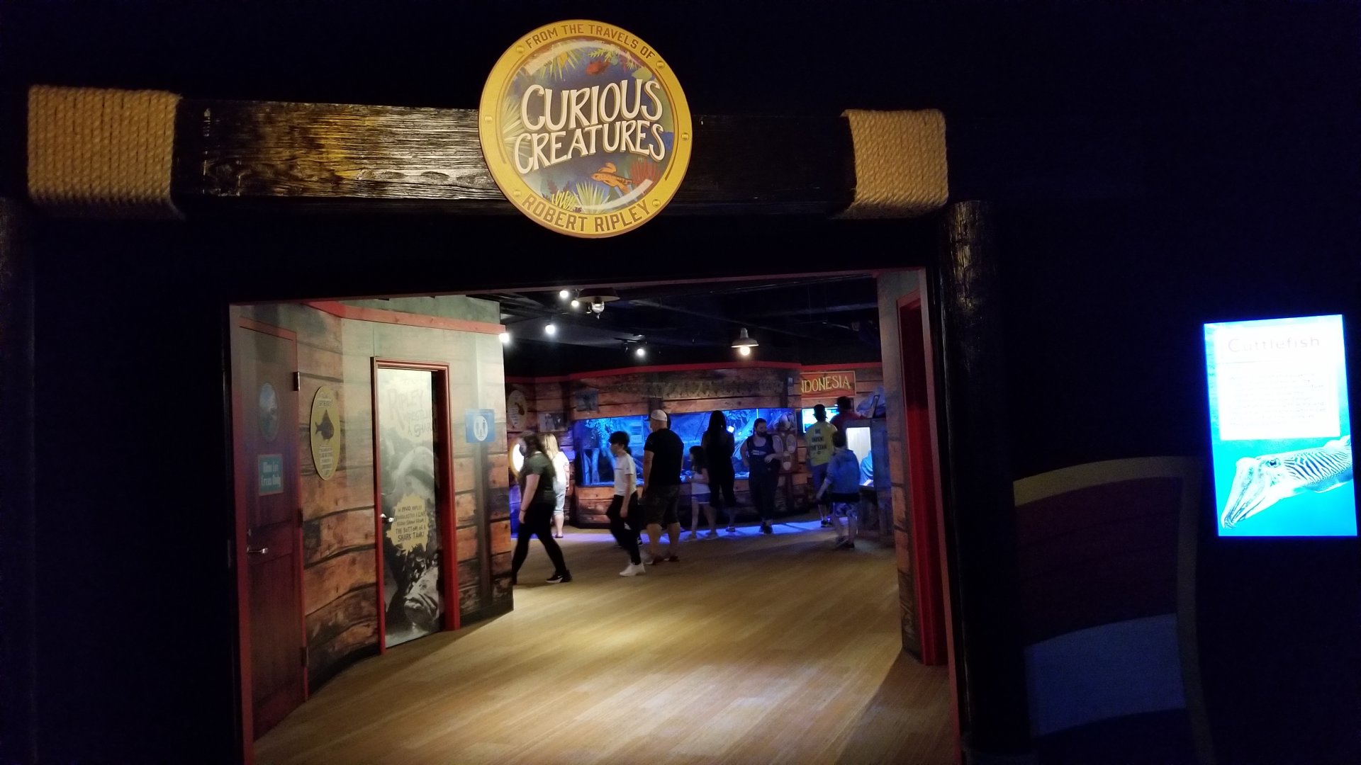 Aq of the Smokies - Curious Creatures exhibit area