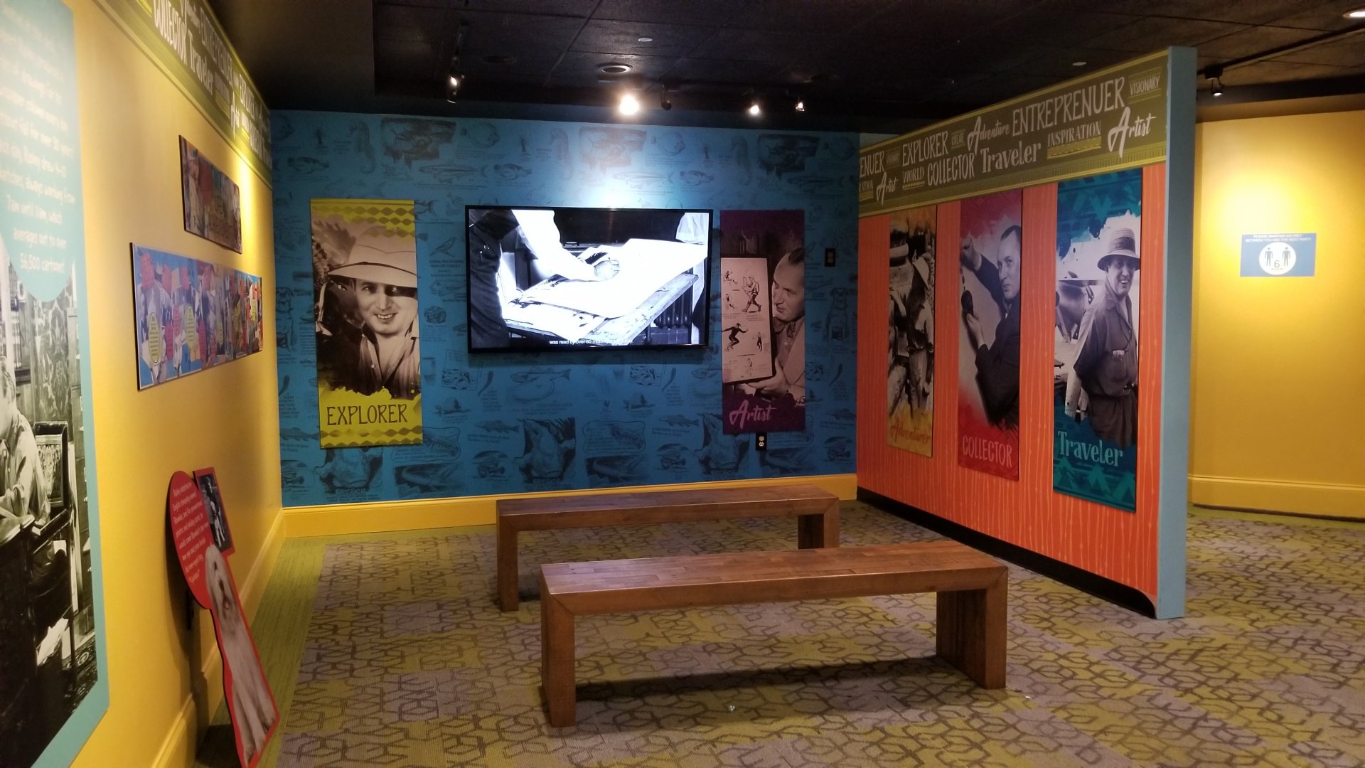 Aq of the Smokies - Curious Creatures - film area