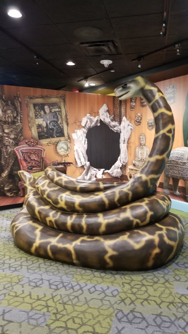 Aq of the Smokies - Curious Creatures - photo op