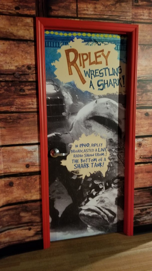 Aq of the Smokies - Curious Creatures