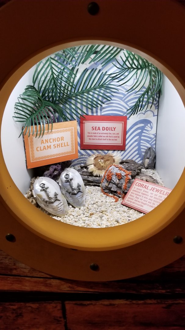 Aq of the Smokies - Curious Creatures