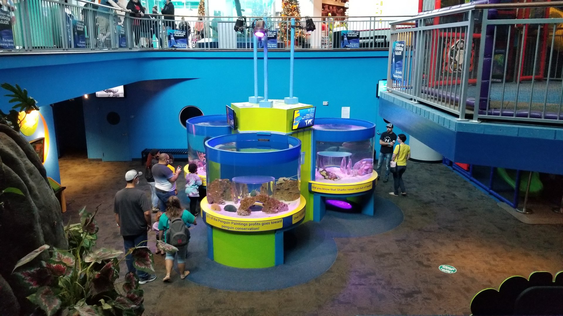 Aq of the Smokies - Discovery Center from above