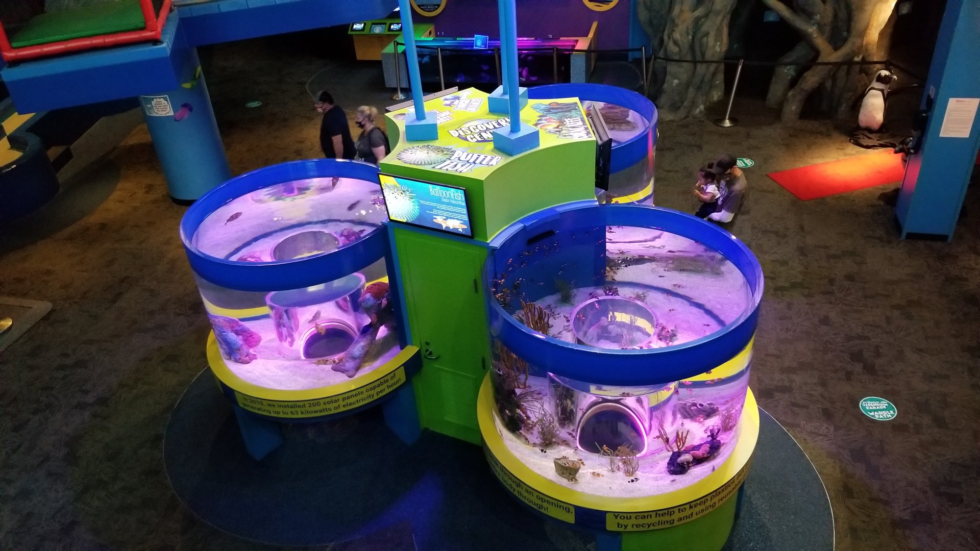 Aq of the Smokies - Discovery Center from above