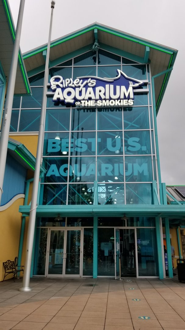 Aq of the Smokies - entrance