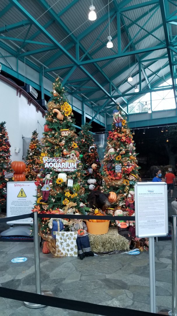 Aq of the Smokies - Fall themed trees inside entrance