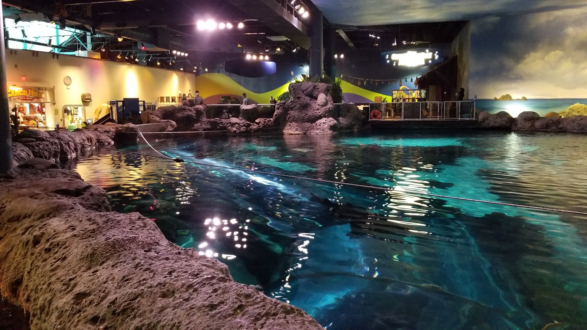 Aq of the Smokies - Large shark tank from above; view of gift shop, exit