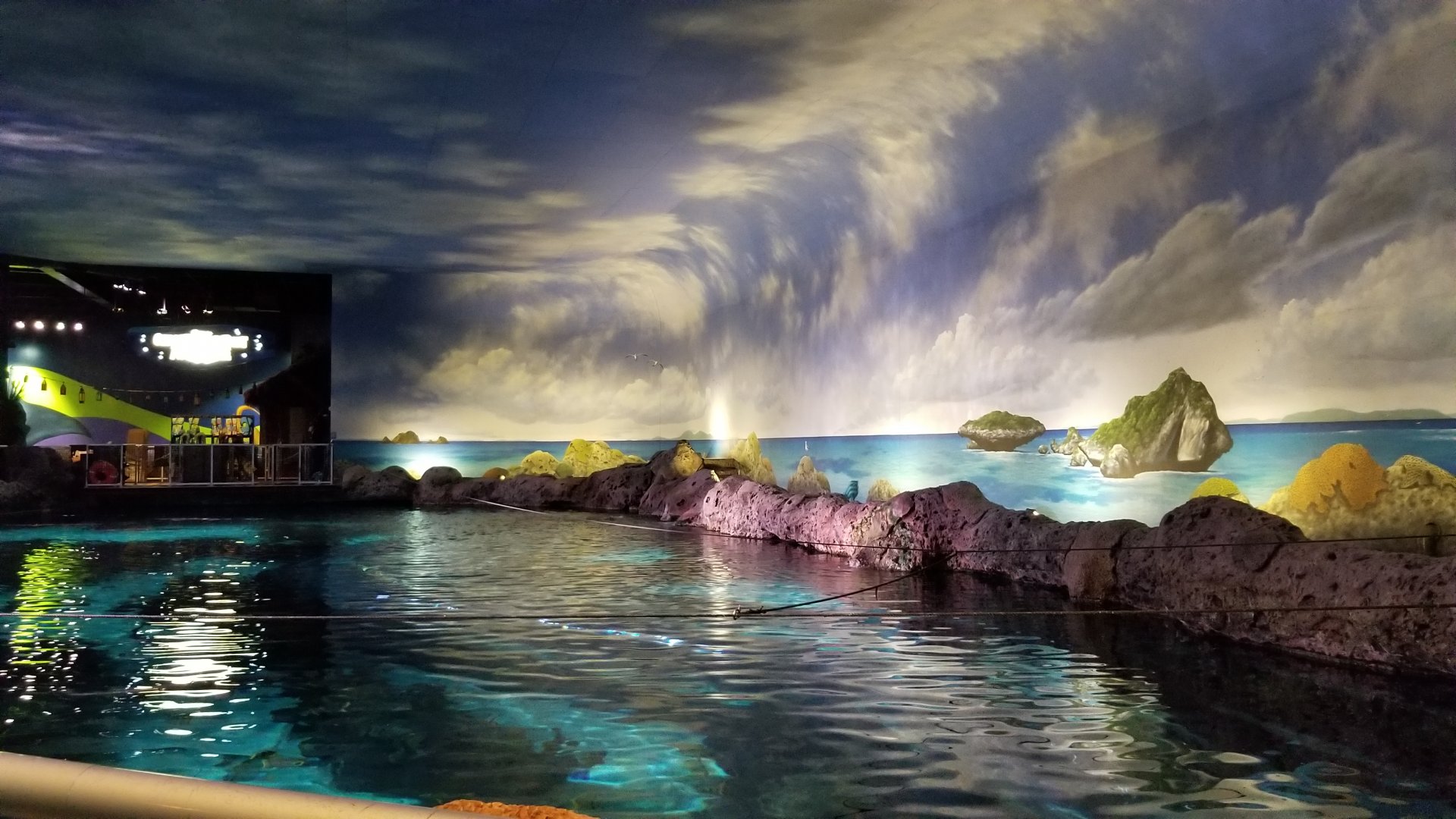 Aq of the Smokies - Large shark tank from above