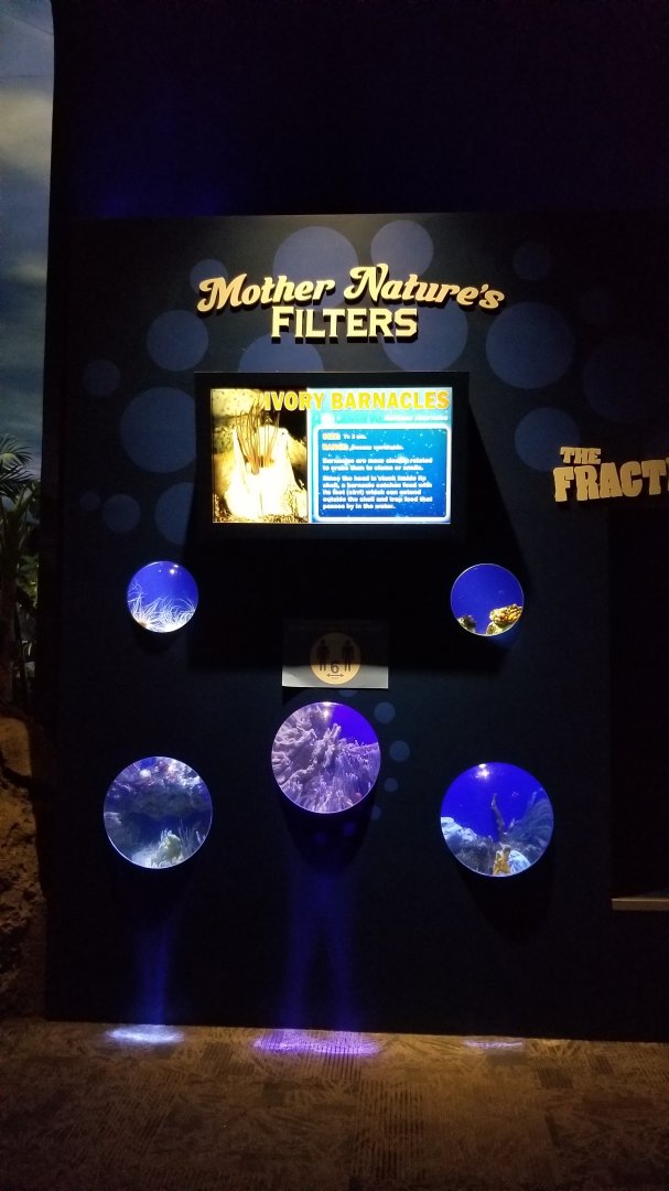 Aq of the Smokies - Mother Nature's Filters