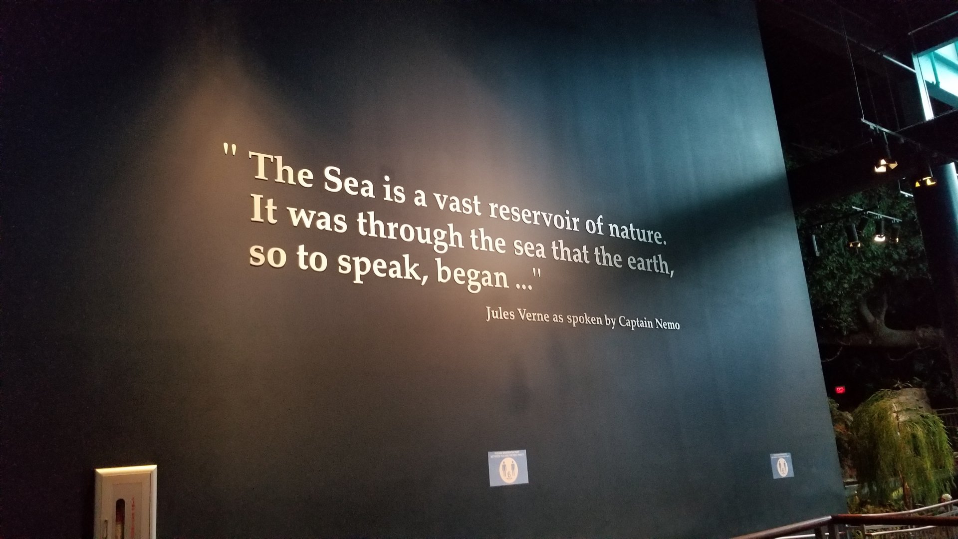 Aq of the Smokies - Quote on wall