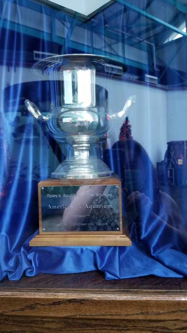 Aq of the Smokies - TripAdvisor trophy