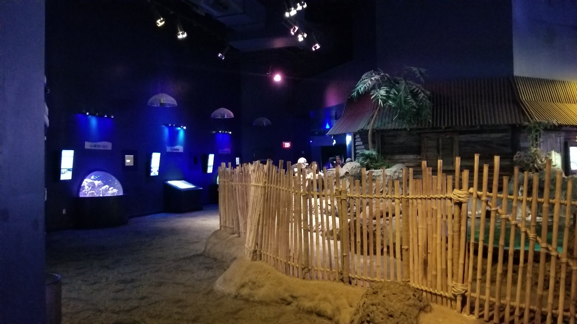 Aq of the Smokies - View back to garden eels, etc; sharks on right