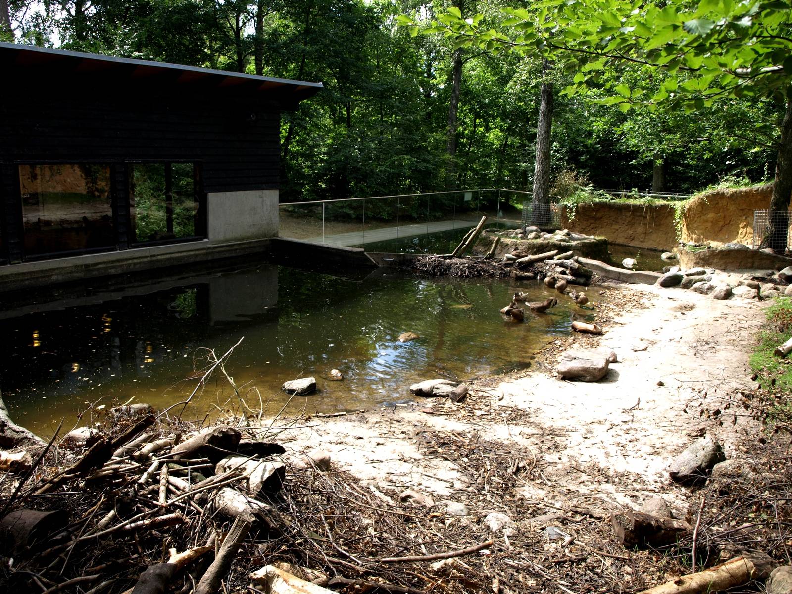 AQUA - Beaver exhibit
