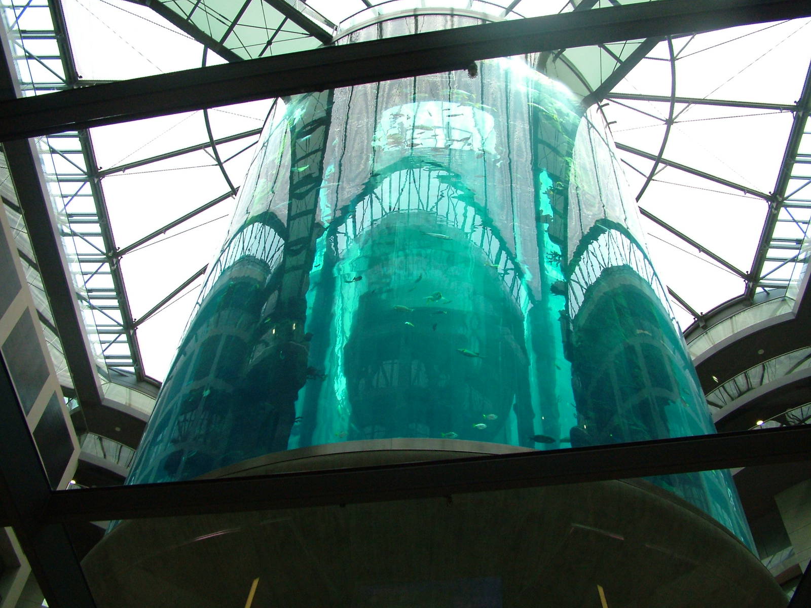 Aqua-Dom at SeaLife Berlin, 05/09/11