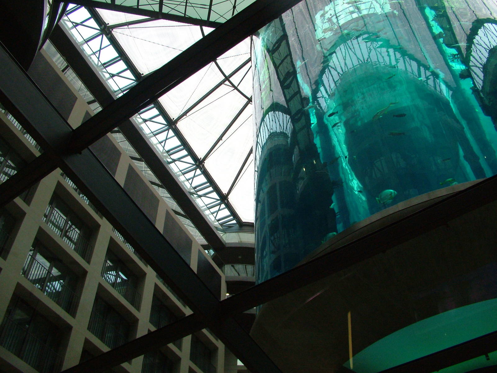 Aqua-Dom at SeaLife Berlin, 05/09/11