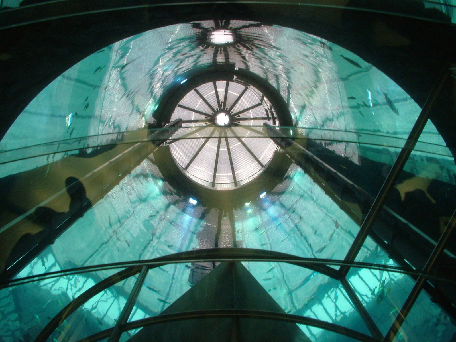 Aqua-Dom at SeaLife Berlin, 05/09/11