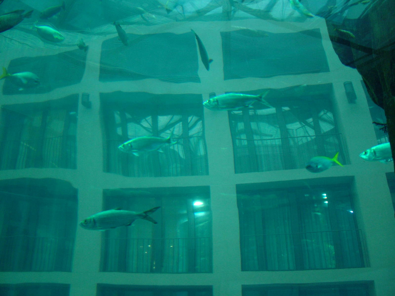 Aqua-Dom at SeaLife Berlin, 05/09/11