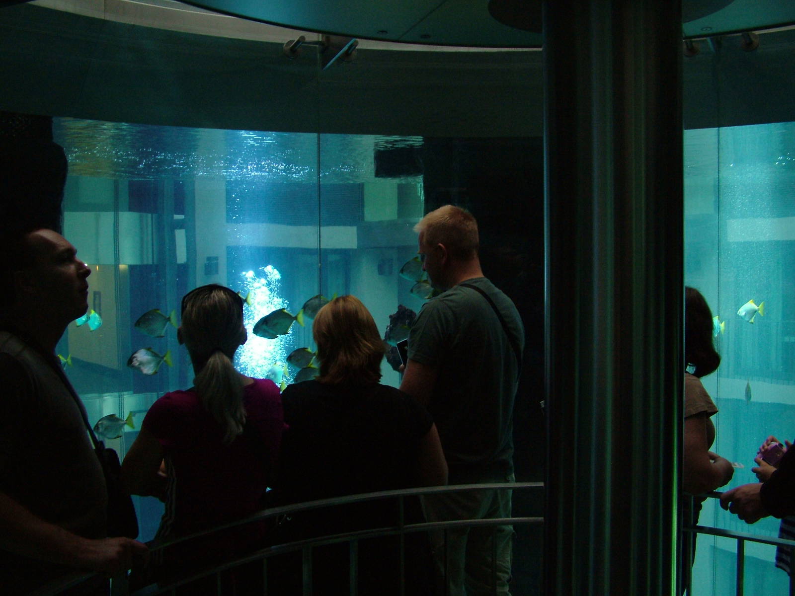 Aqua-Dom at SeaLife Berlin, 05/09/11