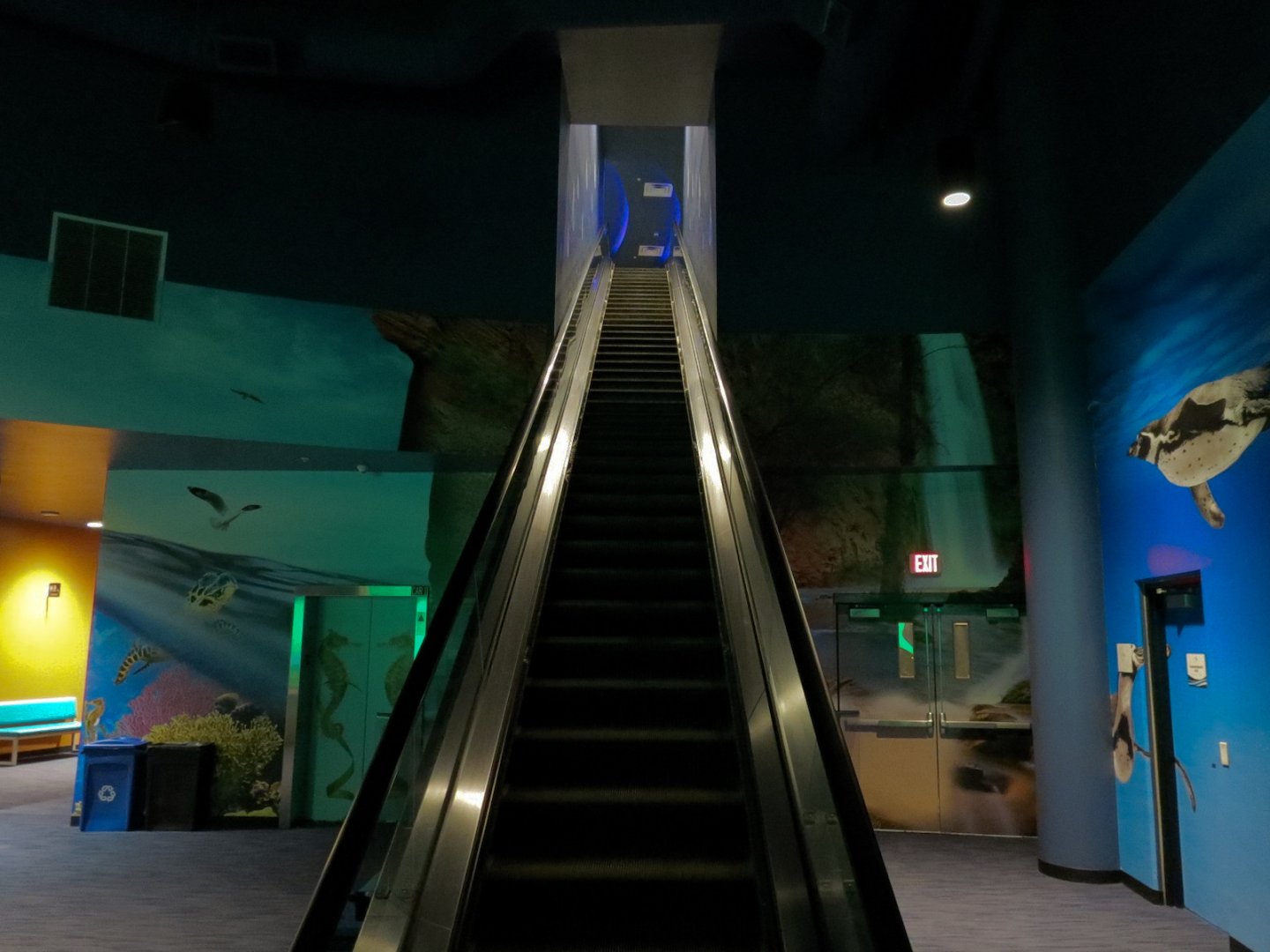 Aqua Lobby - Escalator Up To Exhibit Path