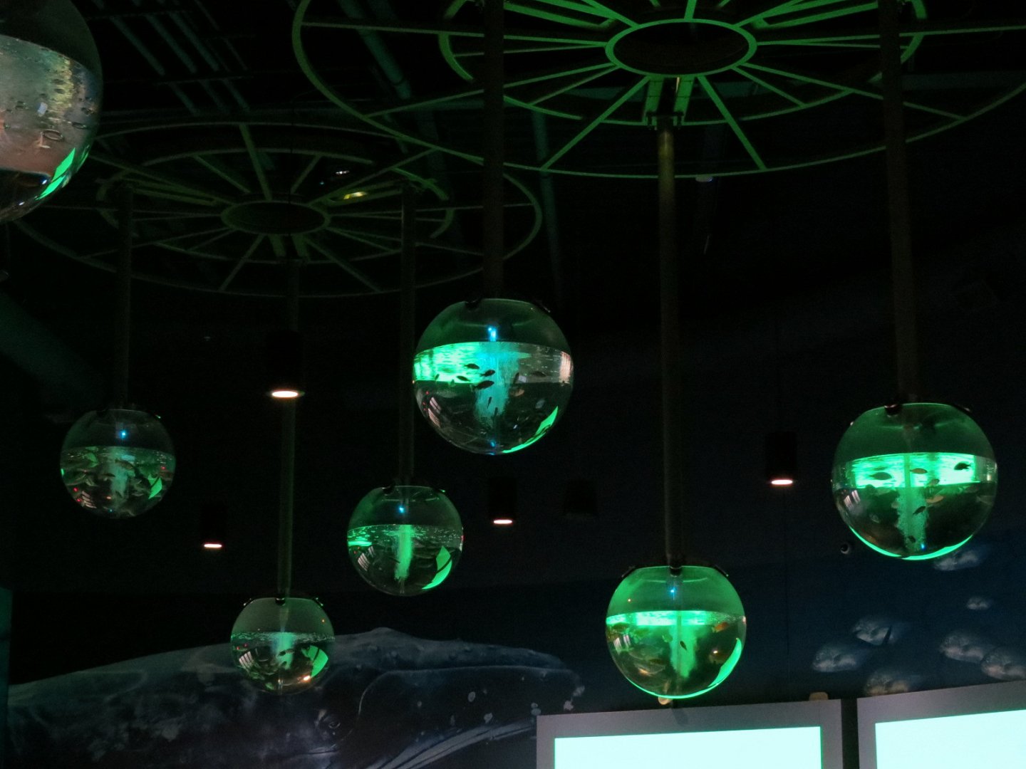 Aqua Lobby - Suspended Globe Tanks
