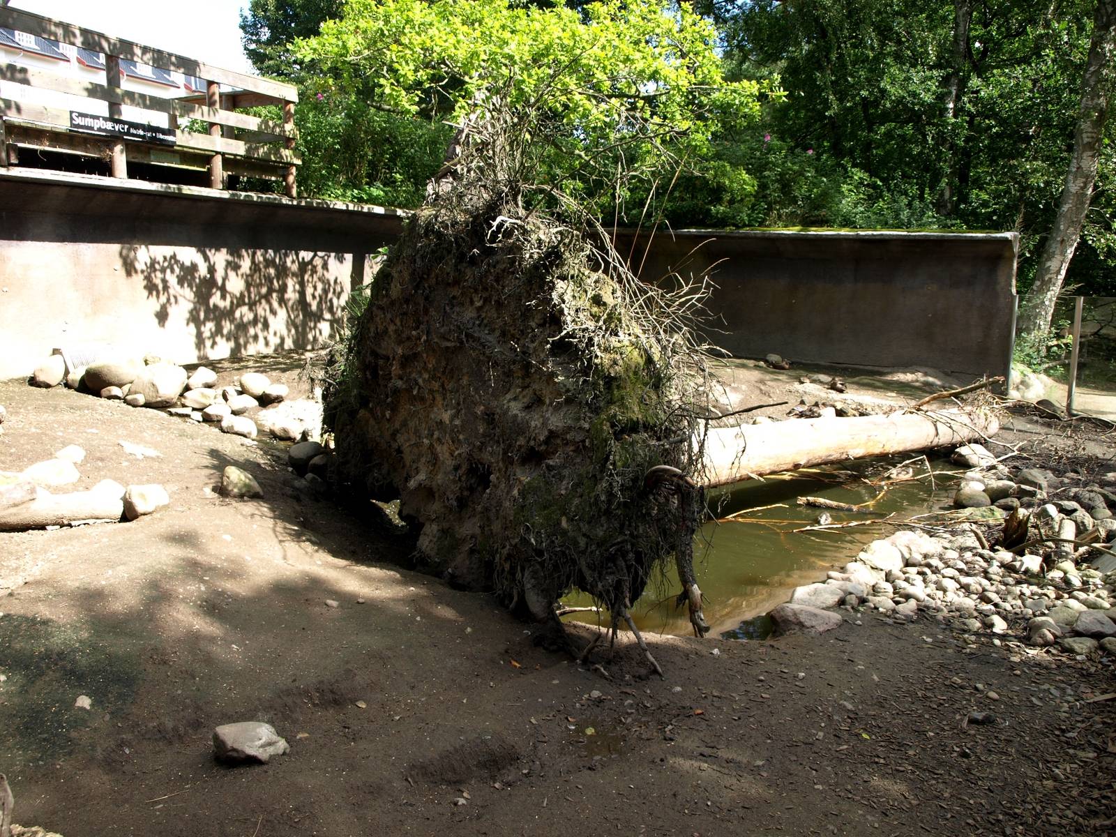 AQUA - Nutria exhibit