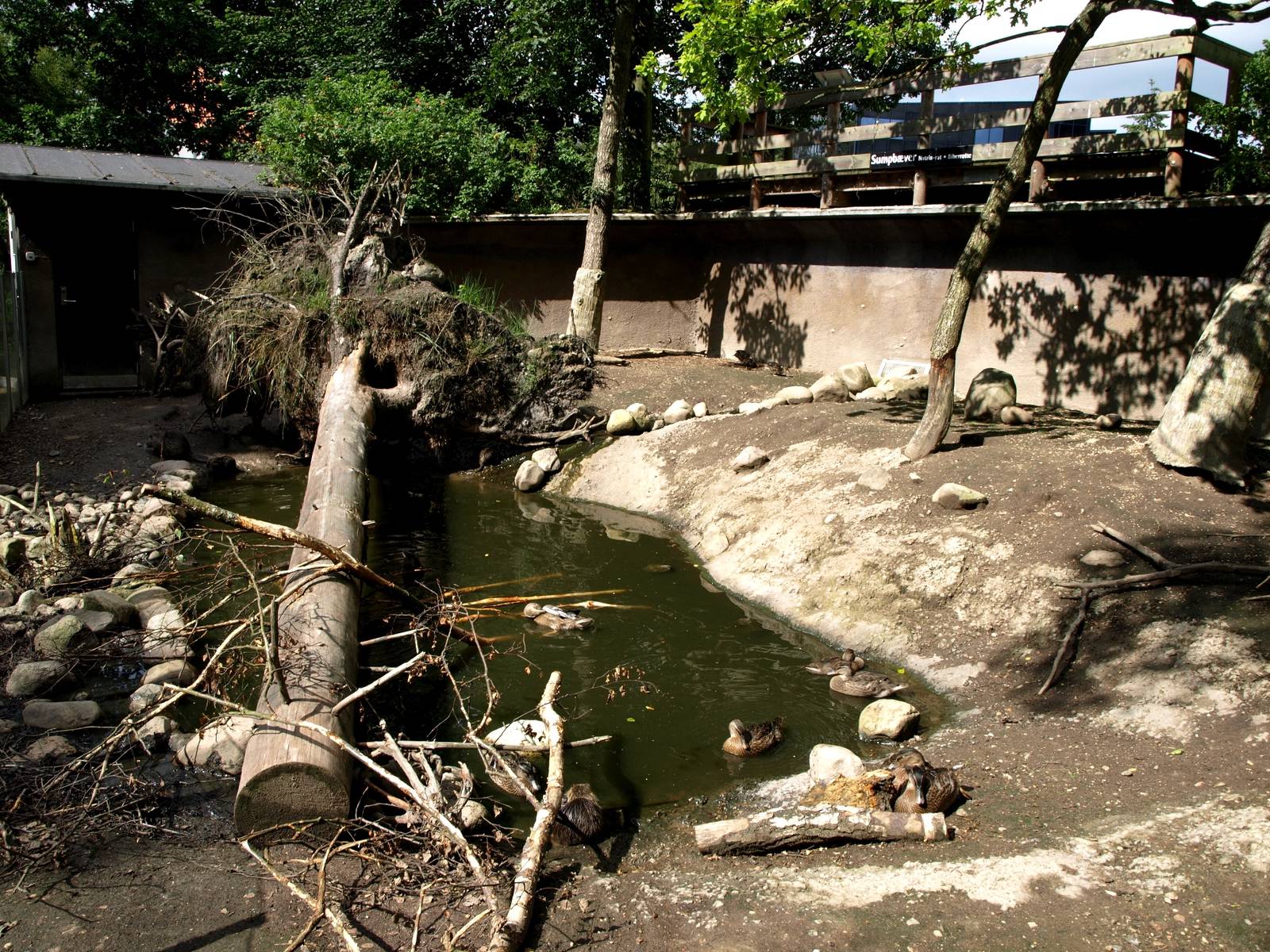 AQUA - Nutria exhibit