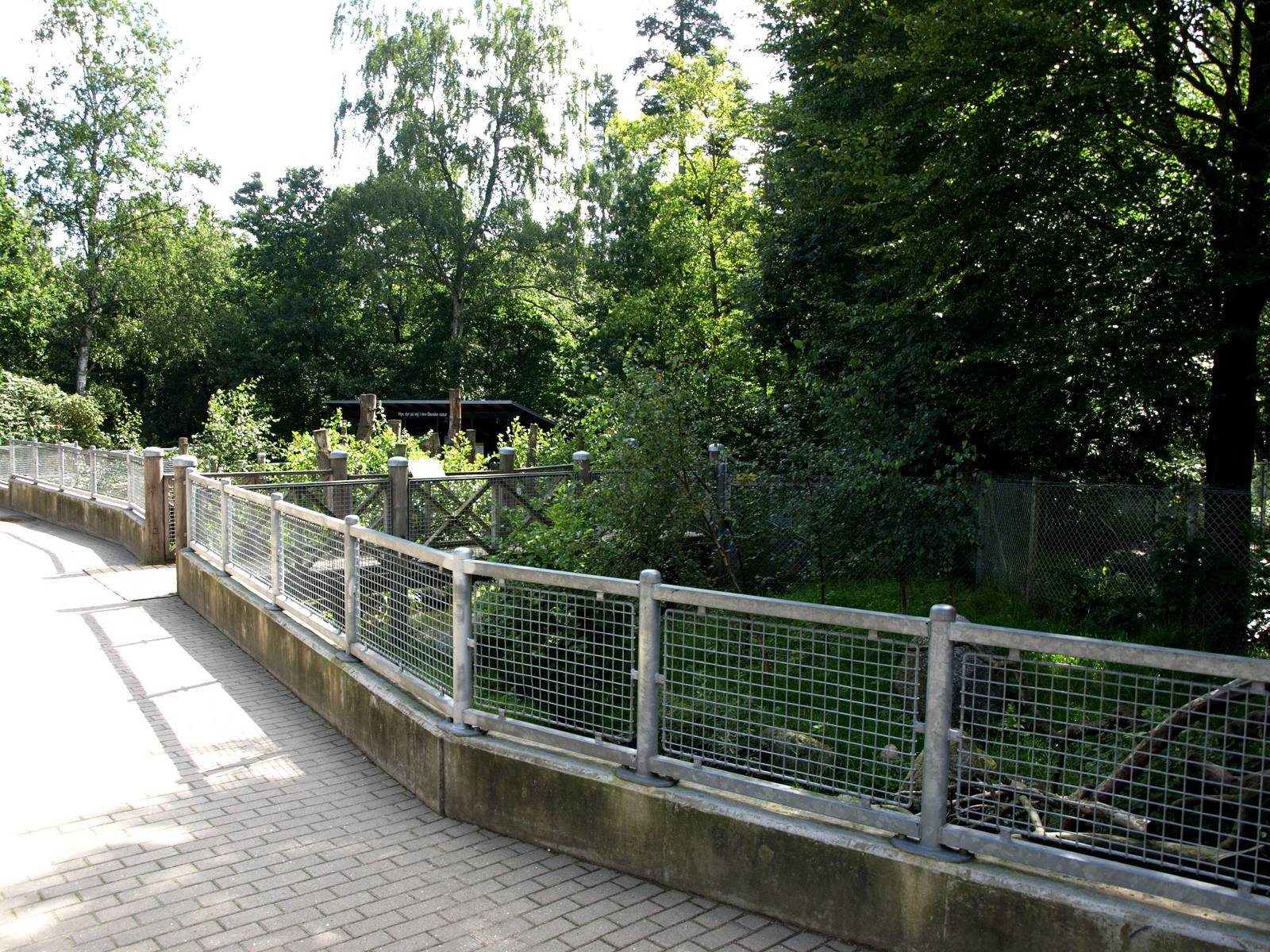 AQUA - Raccoon exhibit