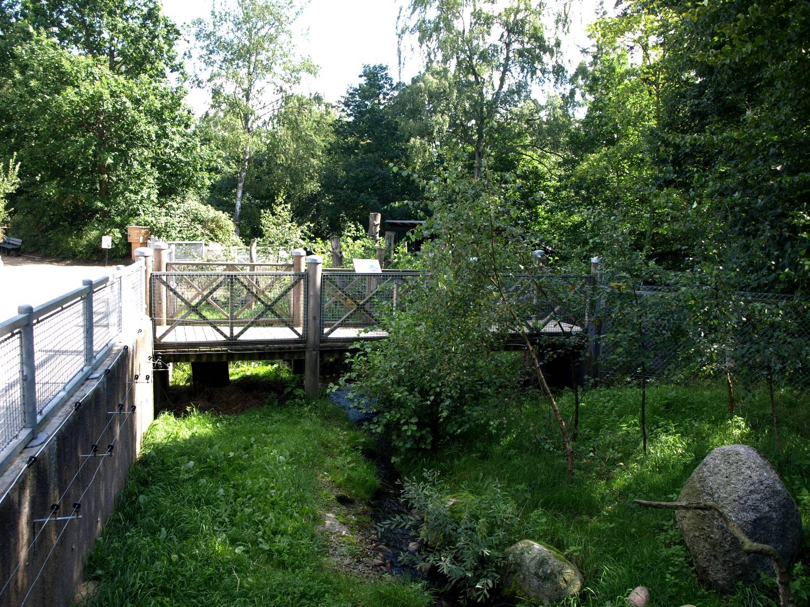 AQUA - Raccoon exhibit