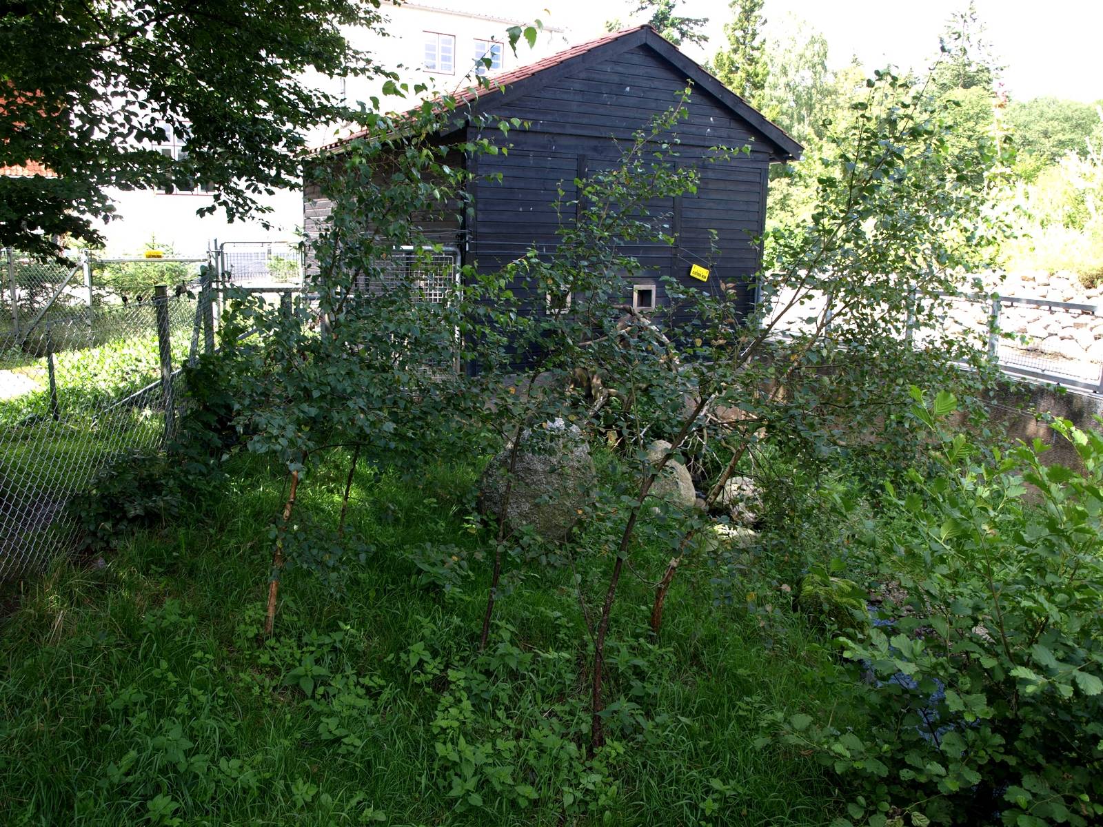 AQUA - Raccoon exhibit