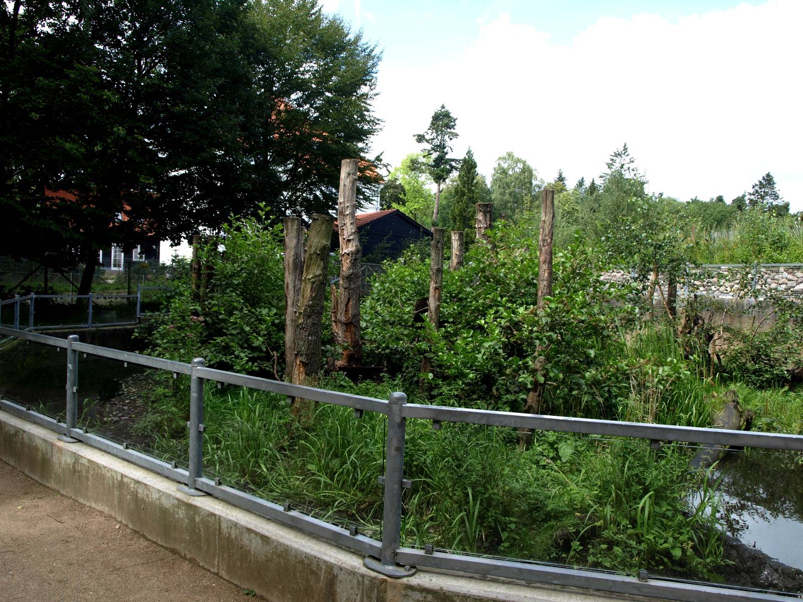 AQUA - Raccoon exhibit