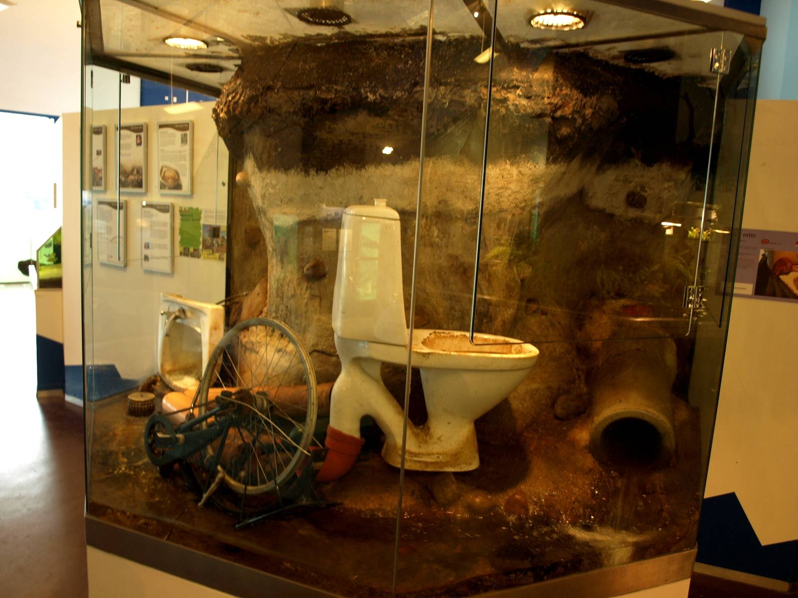 AQUA - Rat exhibit