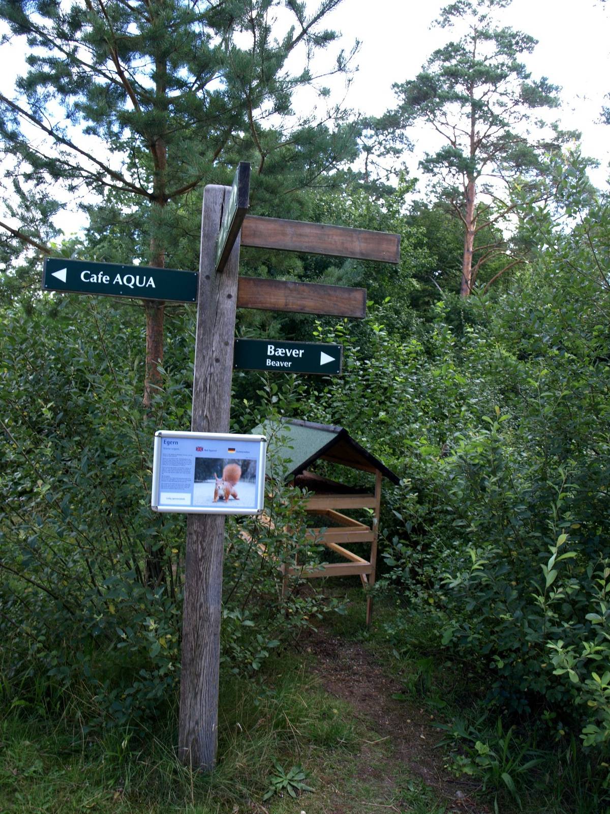 AQUA - Squirrel feeding post