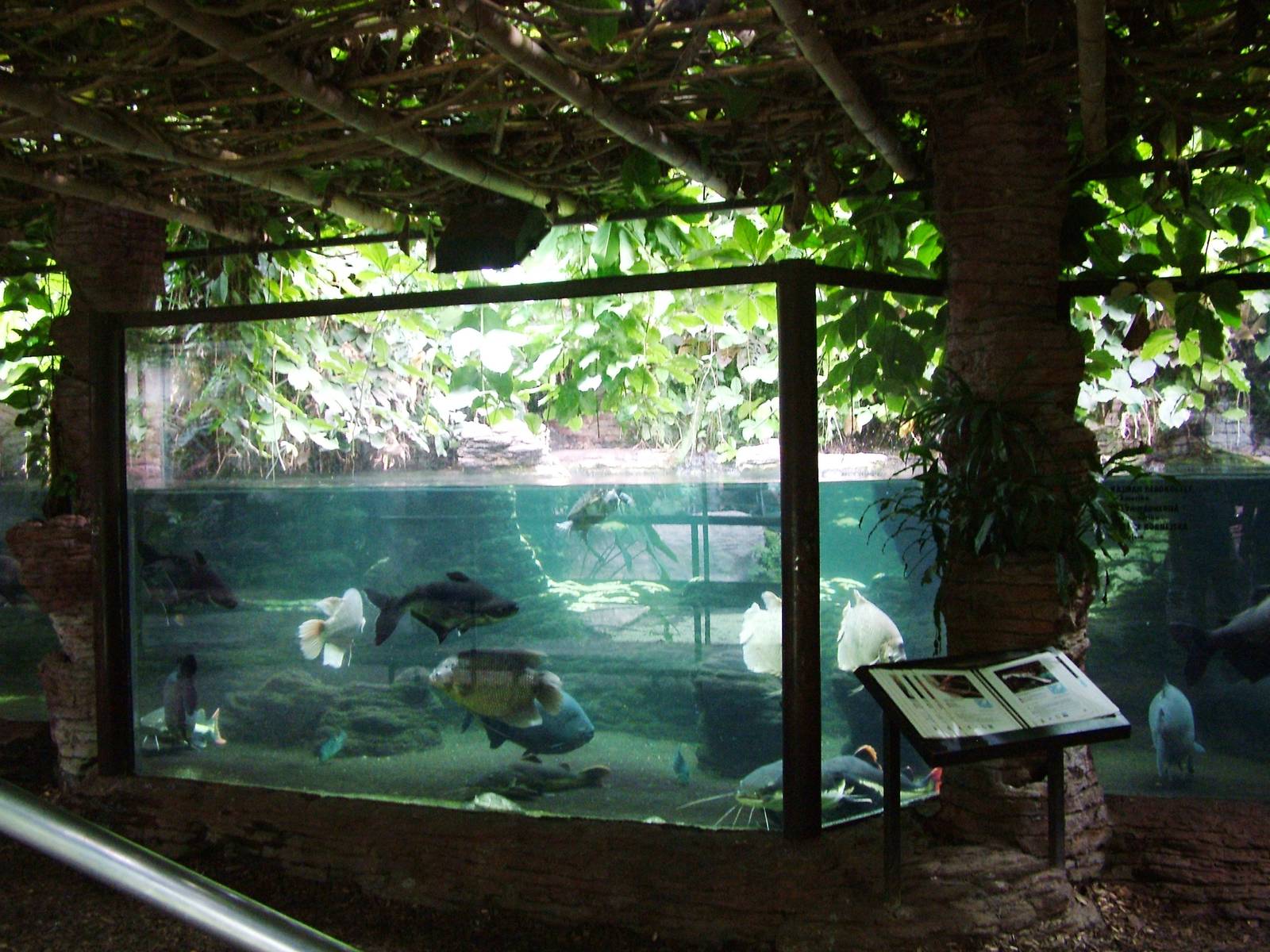 Aqua-Terrarium at Dvur Kralove, 27/08/12