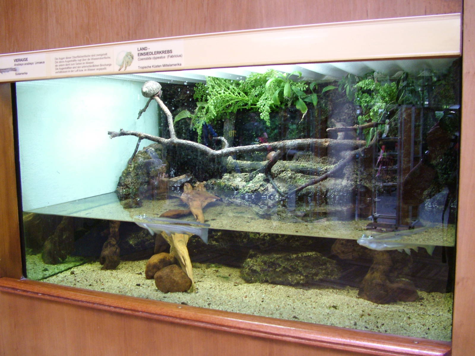 Aqua-Terrarium at Tierpark Berlin, 30/08/11