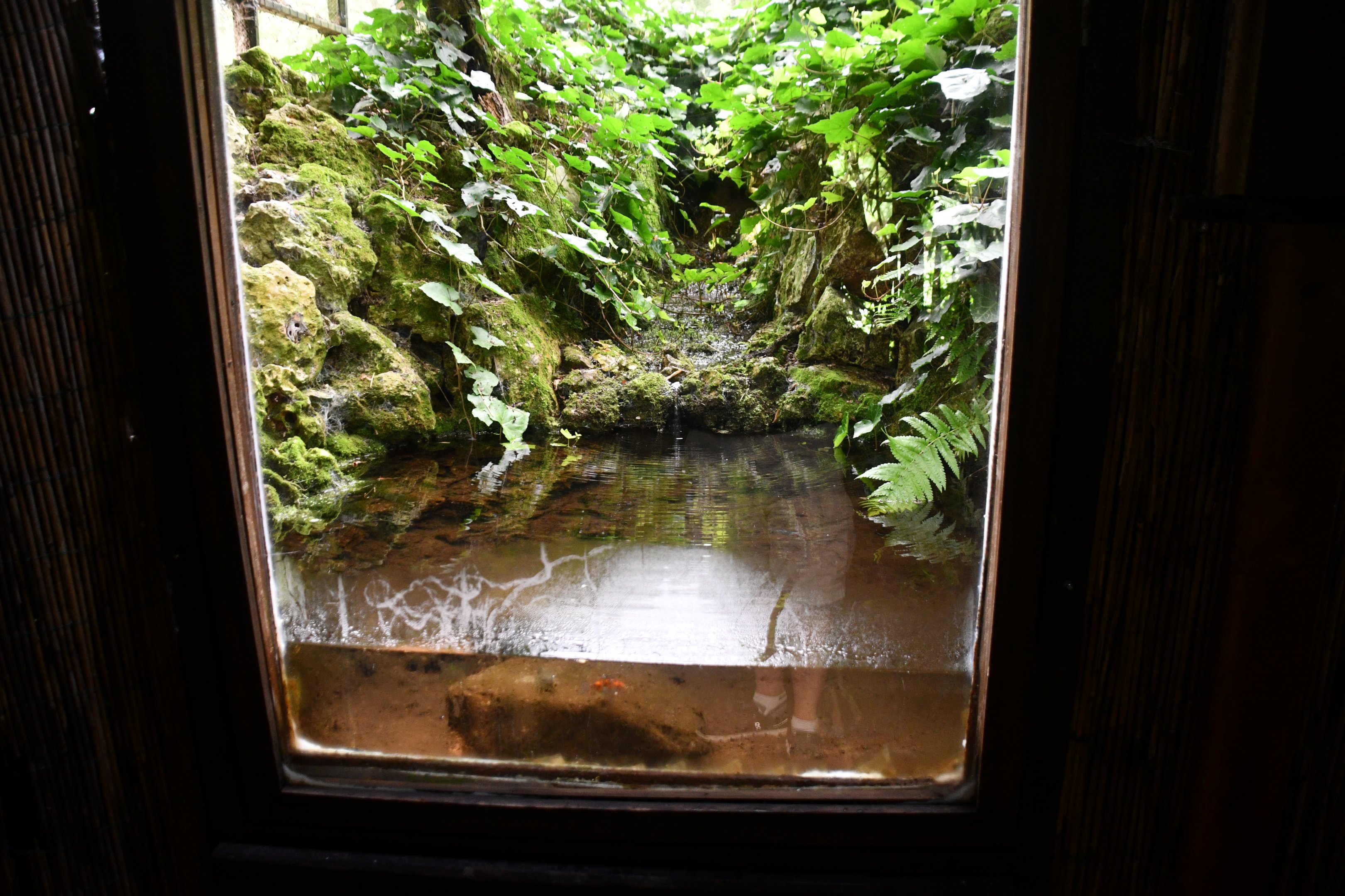 aqua-terrarium exhibit in "The River" corridor