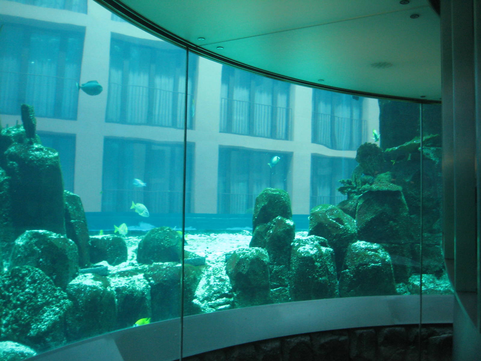 Aquadom Berlin Elevator