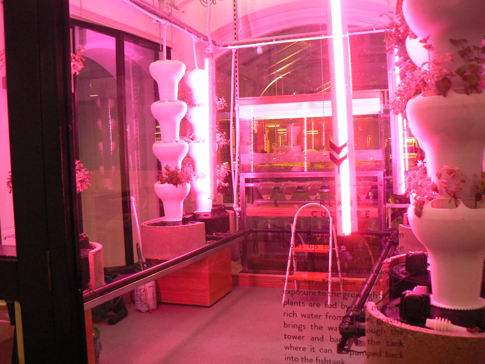 Aquaponics Room - 17 January 2016