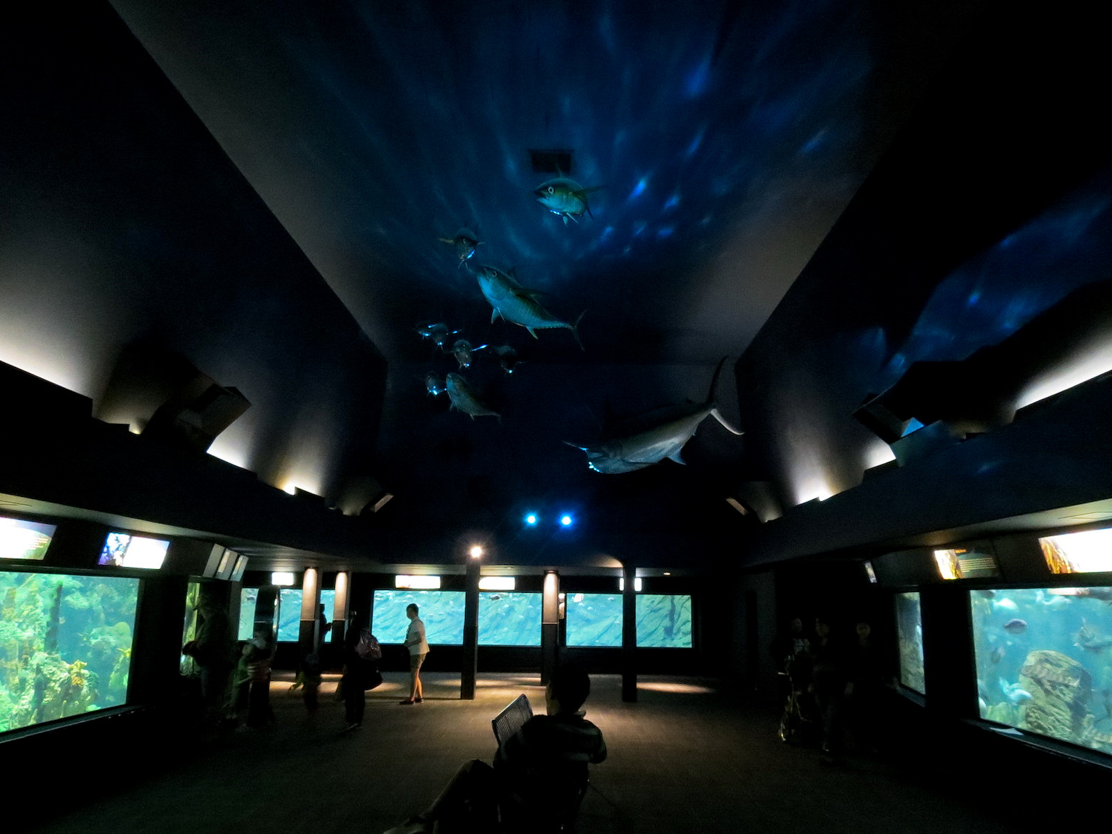 Aquaria: World of Fishes - Interior
