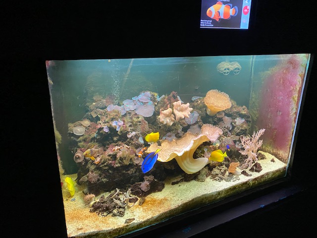 Aquarium 051122
