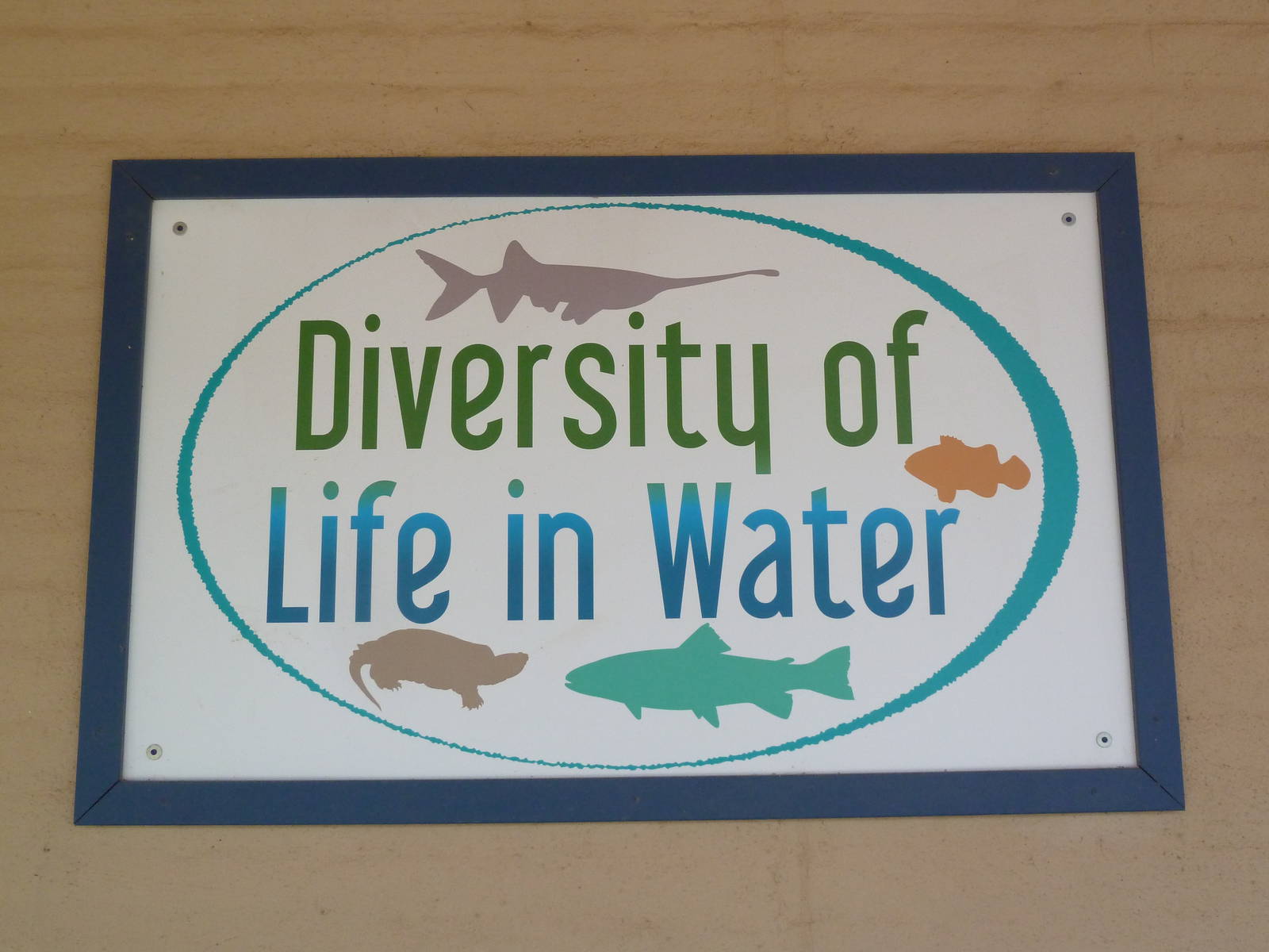 Aquarium #1 - Diversity Of Life In Water