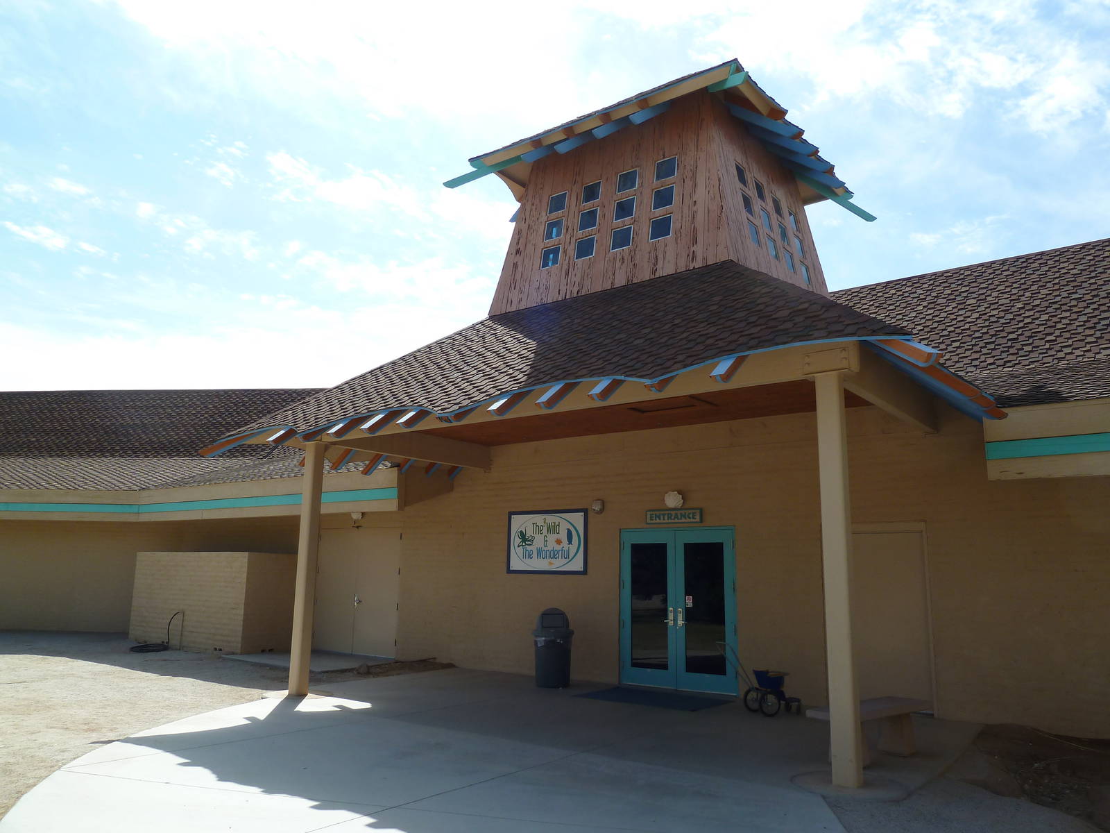 Aquarium #2 - The Wild + The Wonderful