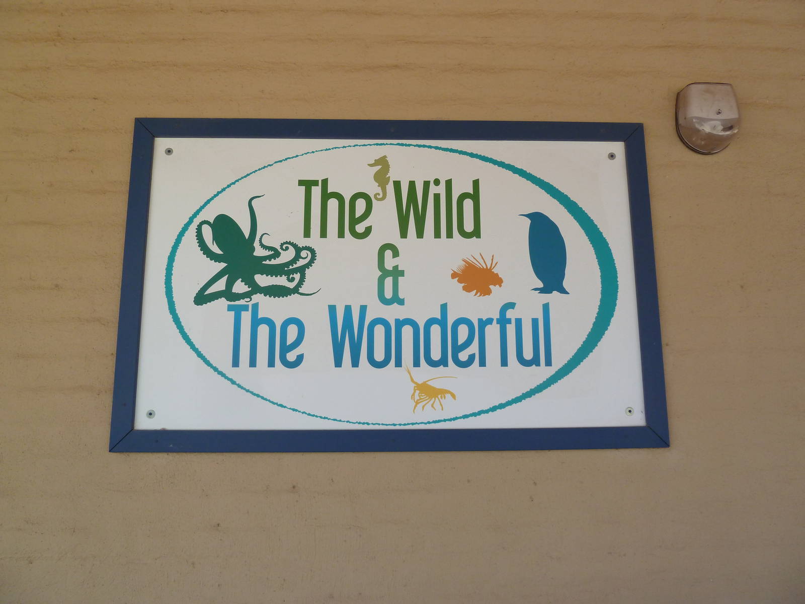 Aquarium #2 - The Wild + The Wonderful