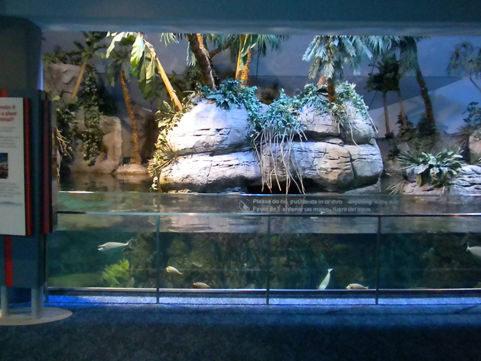 Aquarium 2010 - Carribean reef