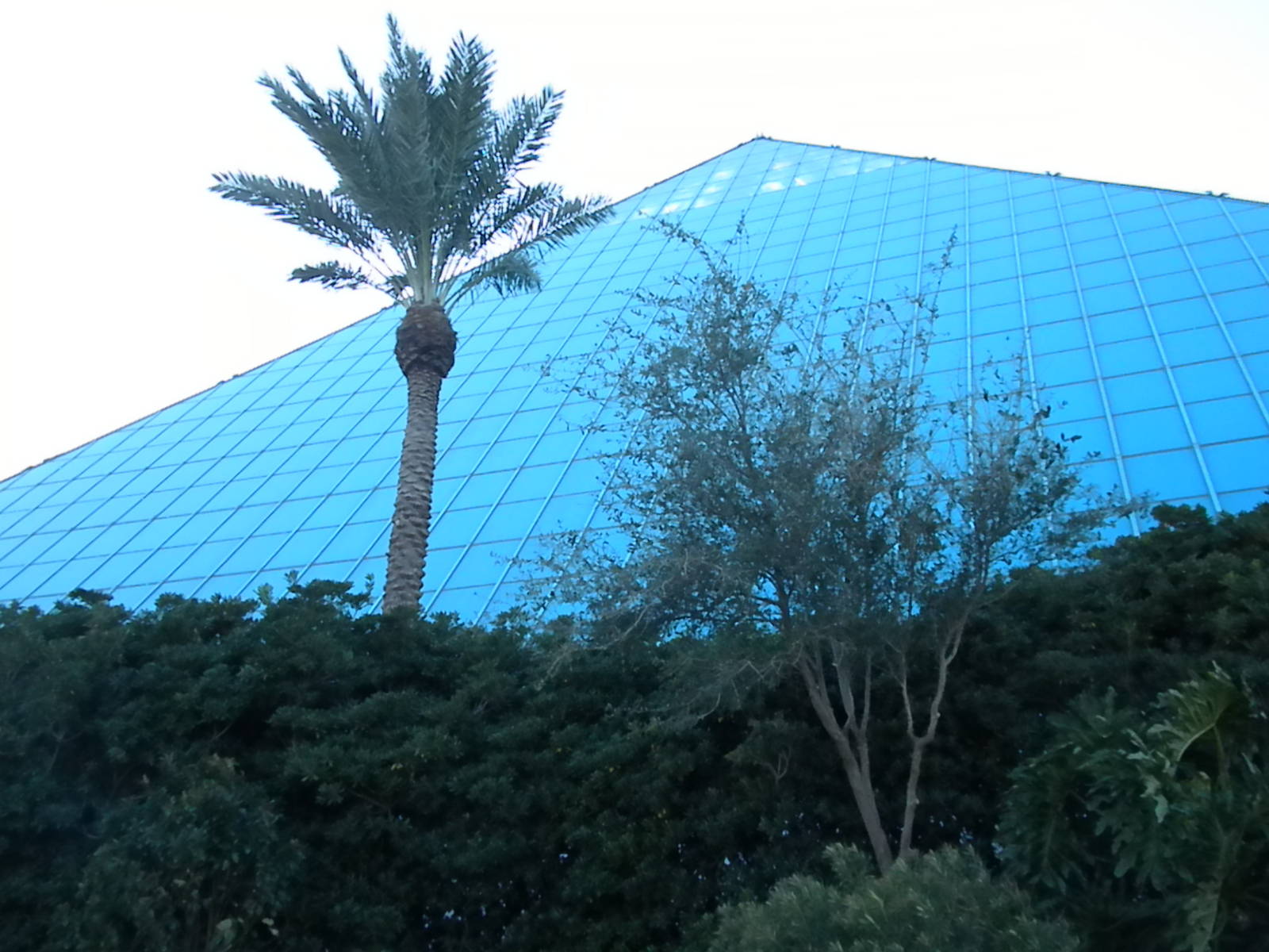 Aquarium 2010 - exterior