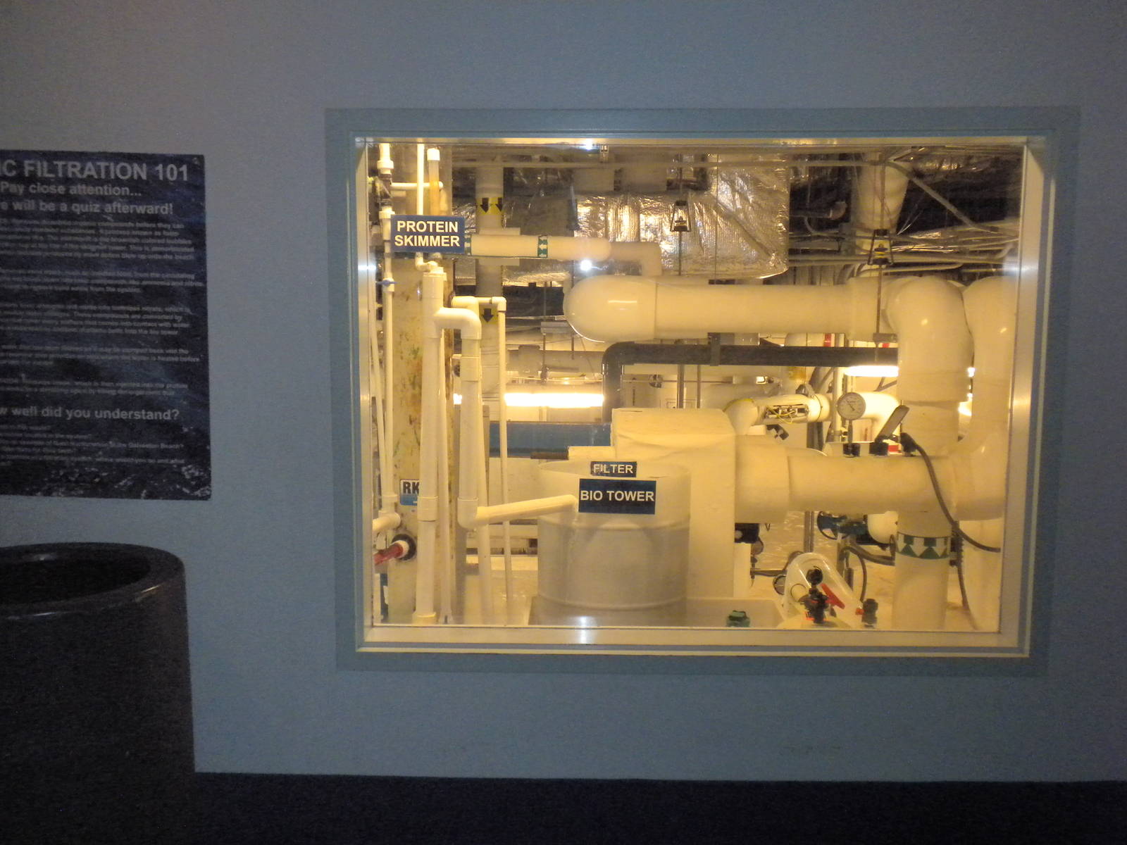 Aquarium 2010 - filtration