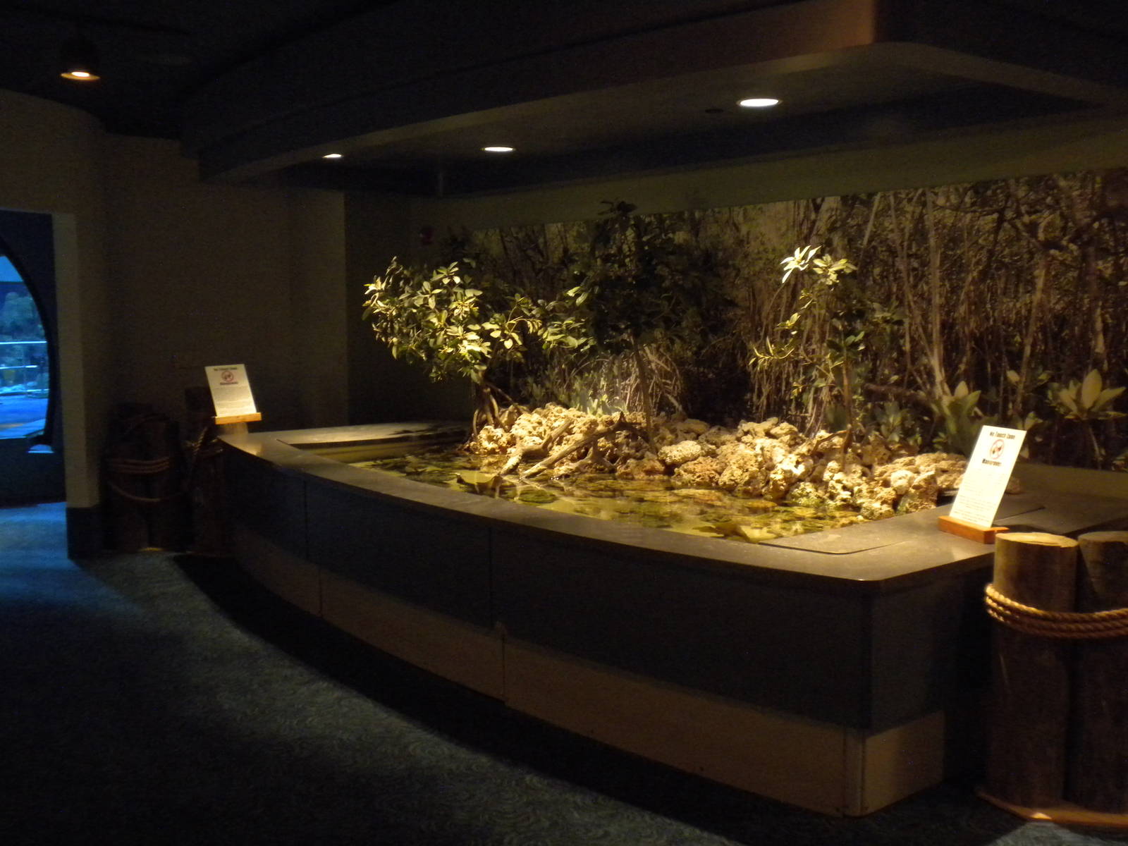 Aquarium 2010 - mangrove