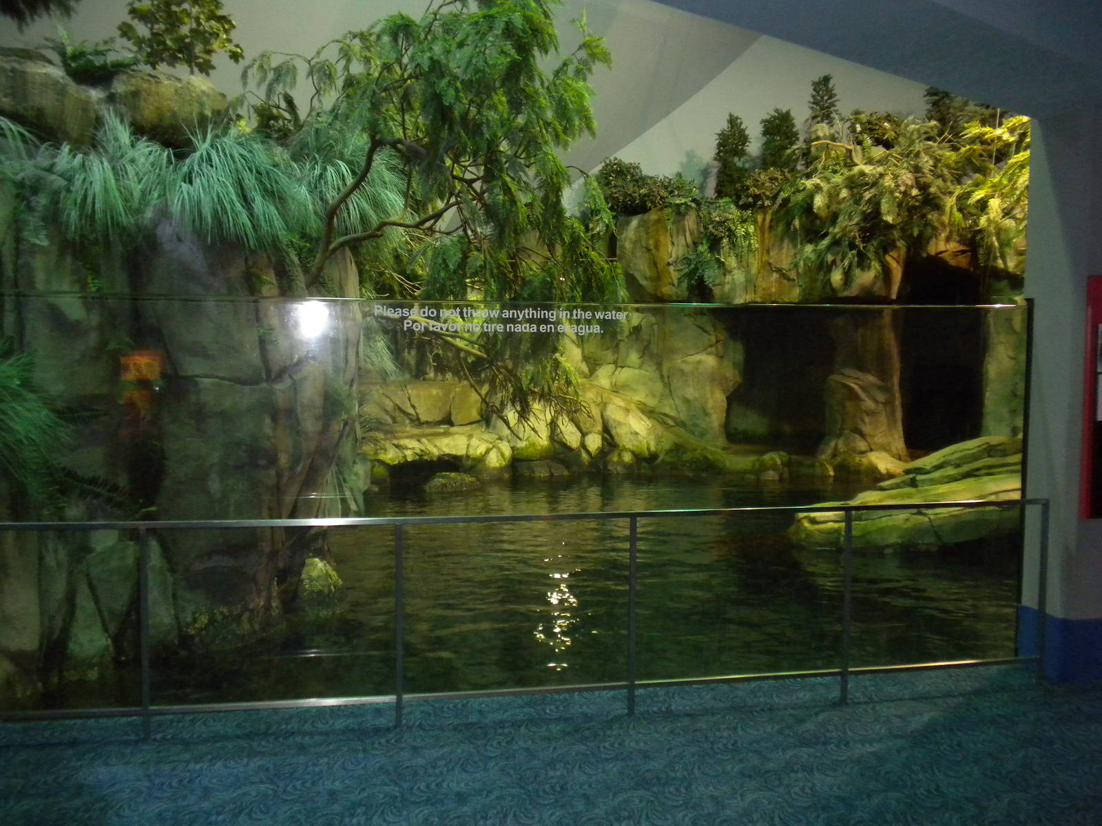 Aquarium 2010 - Sea lion